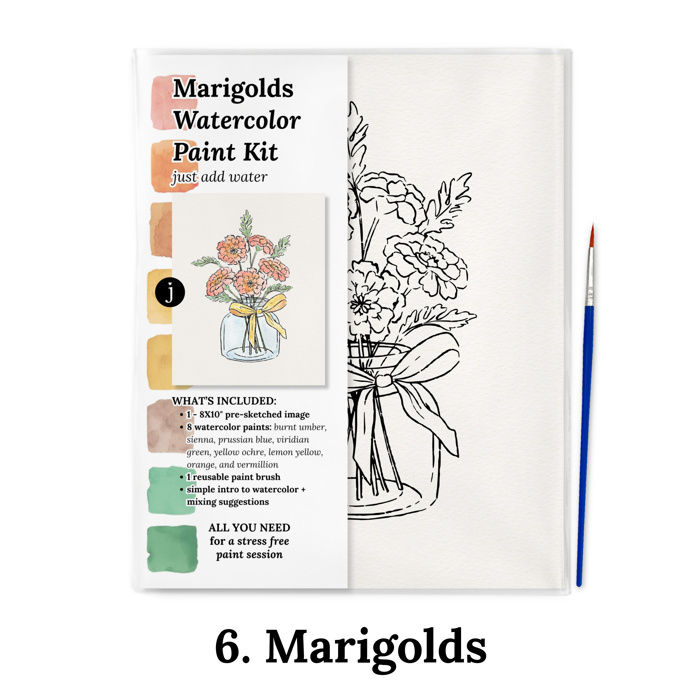 Fall Watercolor Paint Kits | 8X10" Just Add Water | 9 Options