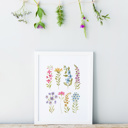  Alpine Wildflower Meadow | Painted Watercolor Art Print