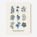  BOGO Flower Chart Prints | Hand Illustrated Floral Decor
