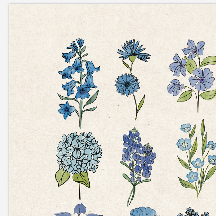 BOGO Flower Chart Prints | Hand Illustrated Floral Decor