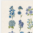  BOGO Flower Chart Prints | Hand Illustrated Floral Decor