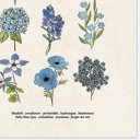  BOGO Flower Chart Prints | Hand Illustrated Floral Decor