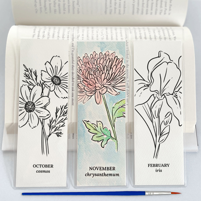 3 PK Birth Flower Bookmark Watercolor Paint Kit | Floral Outline, Brush, Palette with Vinyl Sleeves