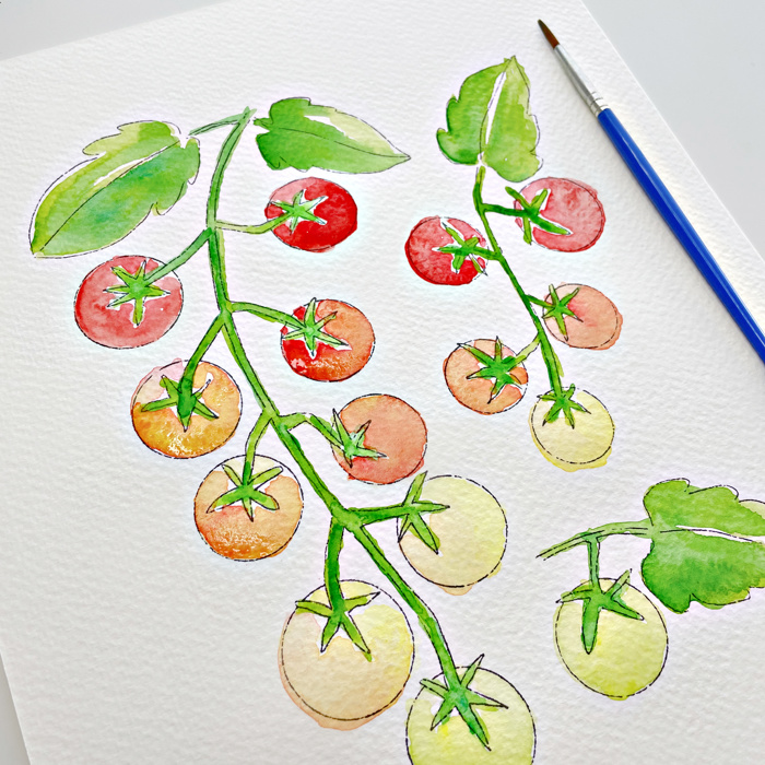 Cherry Tomato Vine Watercolor Paint Kit | All In One Art Set 