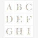  Watercolor Floral Summit Monogram Initial Art Print