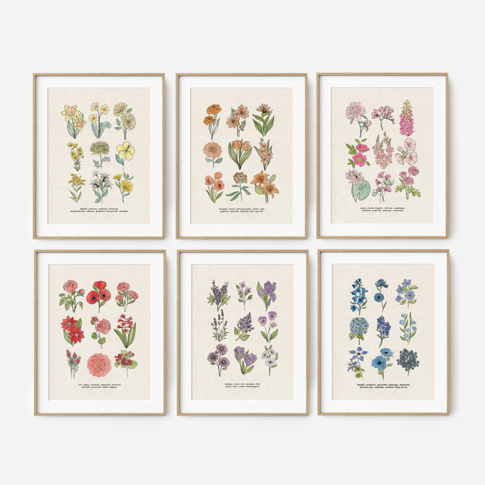 BOGO Flower Chart Prints | Hand Illustrated Floral Decor