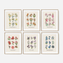  BOGO Flower Chart Prints | Hand Illustrated Floral Decor