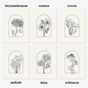  3 Pk All In One Watercolor Paint Kit | 8X10" Floral Outline 45 Options