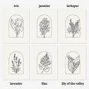  3 Pk All In One Watercolor Paint Kit | 8X10" Floral Outline 45 Options