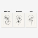  3 Pk All In One Watercolor Paint Kit | 8X10" Floral Outline 45 Options