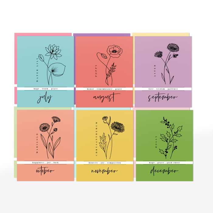 12 Birth Flower Note Cards + Envelopes | Floral Birthday Card Pack