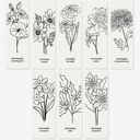  3 PK Birth Flower Bookmark Watercolor Paint Kit | Floral Outline, Brush, Palette with Vinyl Sleeves