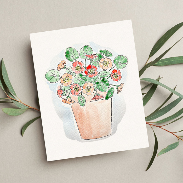 Flower Bouquet Watercolor Paint Kits | 12 Options