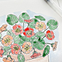  Fall Watercolor Paint Kits | 8X10" Just Add Water | 9 Options