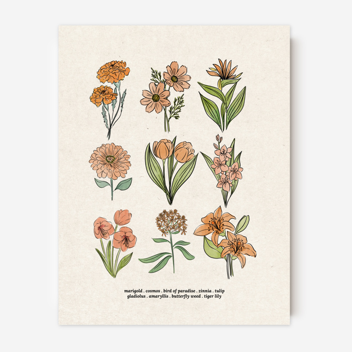 BOGO Flower Chart Prints | Hand Illustrated Floral Decor