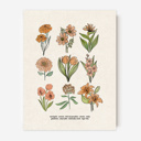  BOGO Flower Chart Prints | Hand Illustrated Floral Decor