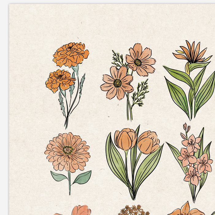 BOGO Flower Chart Prints | Hand Illustrated Floral Decor
