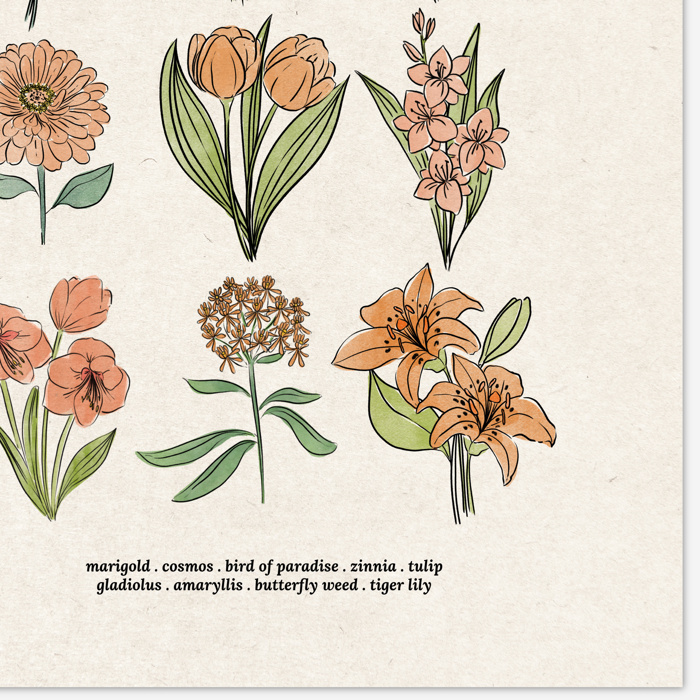 BOGO Flower Chart Prints | Hand Illustrated Floral Decor