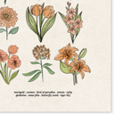  BOGO Flower Chart Prints | Hand Illustrated Floral Decor