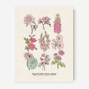 BOGO Flower Chart Prints | Hand Illustrated Floral Decor