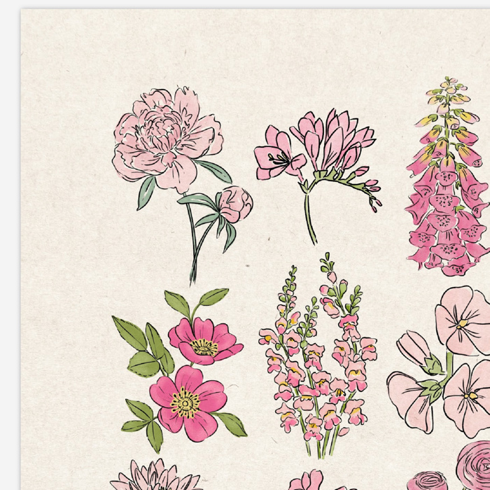 BOGO Flower Chart Prints | Hand Illustrated Floral Decor