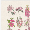  BOGO Flower Chart Prints | Hand Illustrated Floral Decor