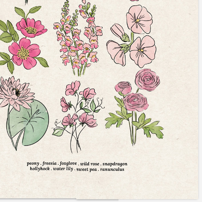 BOGO Flower Chart Prints | Hand Illustrated Floral Decor