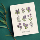  BOGO Flower Chart Prints | Hand Illustrated Floral Decor