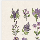  BOGO Flower Chart Prints | Hand Illustrated Floral Decor