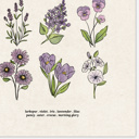  BOGO Flower Chart Prints | Hand Illustrated Floral Decor