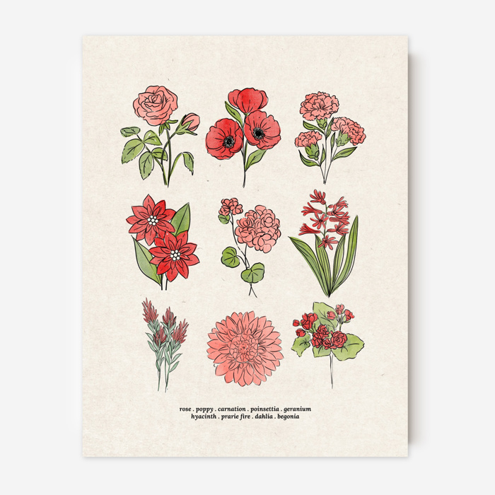 BOGO Flower Chart Prints | Hand Illustrated Floral Decor