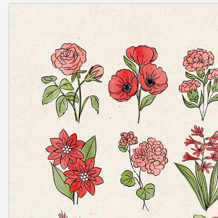 BOGO Flower Chart Prints | Hand Illustrated Floral Decor