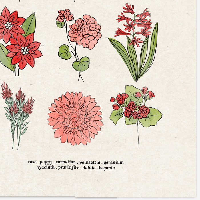 BOGO Flower Chart Prints | Hand Illustrated Floral Decor