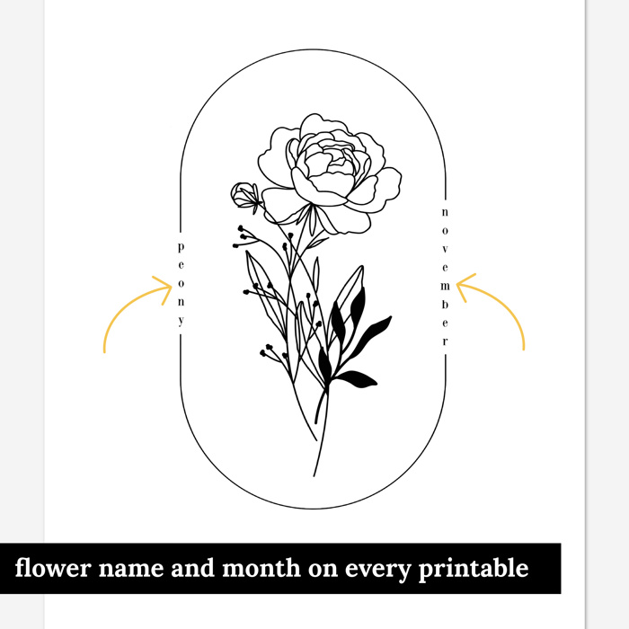 BOGO Birth Flower Simple Line Art Print | 27 Options