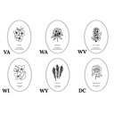  BOGO | State Flower Art Prints | Unframed Floral Wall Decor