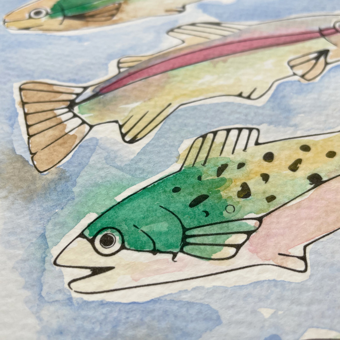 Lake Trout Fish Watercolor Paint Kit | 8X10" Just Add Water 