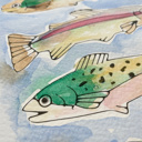  Lake Trout Fish Watercolor Paint Kit | 8X10" Just Add Water 