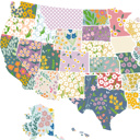  US Map Art Print | Hand Illustrated Florals | 2 Options