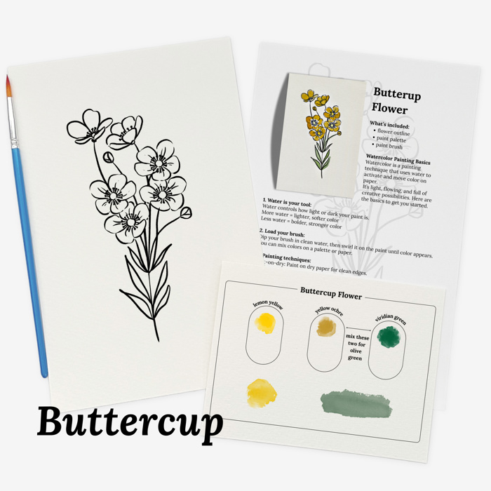 Set of 4 Watercolor Paint Kits | Floral Sketches, Brushes & Palettes | 12 Flower Options