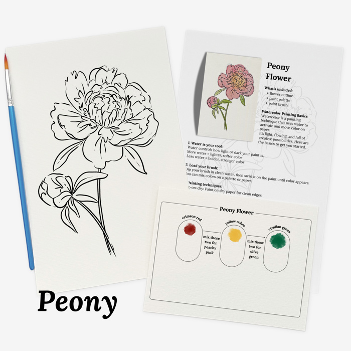 Set of 4 Watercolor Paint Kits | Floral Sketches, Brushes & Palettes | 12 Flower Options