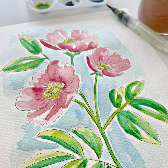 Wild Rose Watercolor Paint Kit | Pre-Sketched Art Set Just Add Water