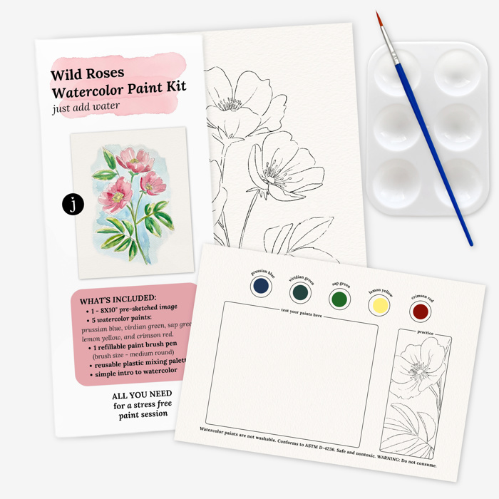 Wild Rose Watercolor Paint Kit | Pre-Sketched Art Set Just Add Water