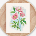  Wild Rose Watercolor Paint Kit | Pre-Sketched Art Set Just Add Water