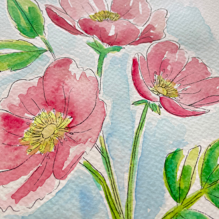 Wild Rose Watercolor Paint Kit | Pre-Sketched Art Set Just Add Water