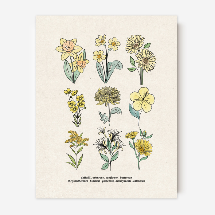 BOGO Flower Chart Prints | Hand Illustrated Floral Decor
