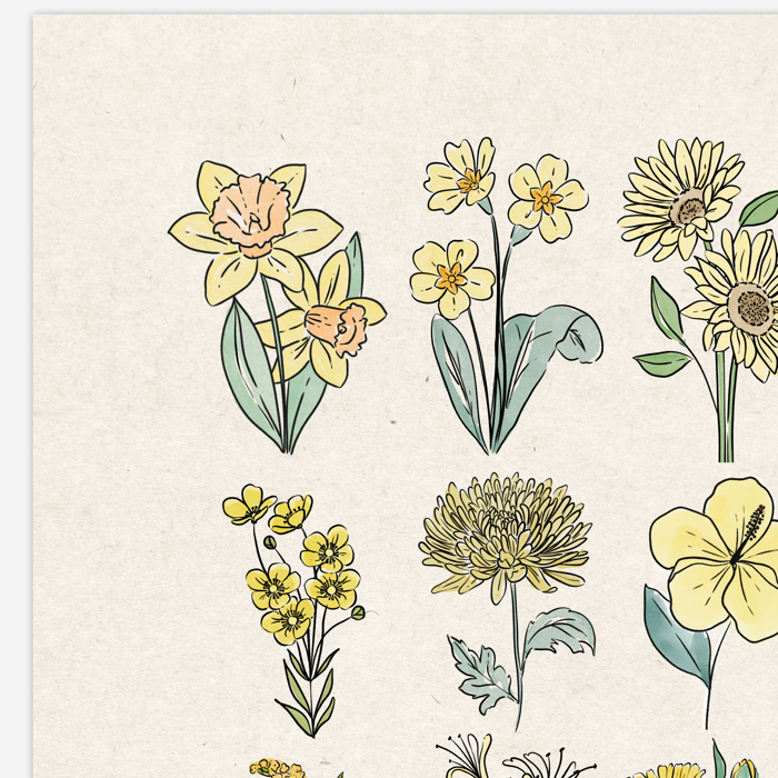 BOGO Flower Chart Prints | Hand Illustrated Floral Decor