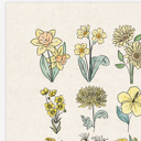  BOGO Flower Chart Prints | Hand Illustrated Floral Decor