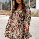  Brush Stroke Print Long Sleeve Mini Dress