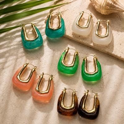 Resin Hoop Earrings
