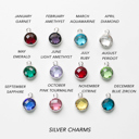  Birthstone Charm Bangle Bracelet